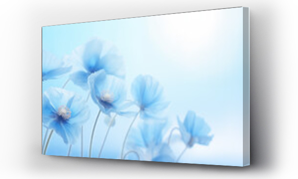 Wizualizacja Obrazu : #735990274 Flowers of Himalayan Blue Poppy on blue background