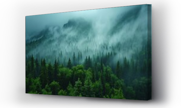 Wizualizacja Obrazu : #738838852 Misty landscape of fir forest in Canada