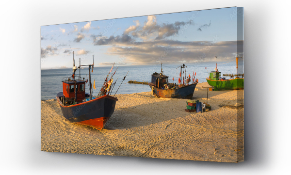 bałtyk plaża, morze, plaża, ryby