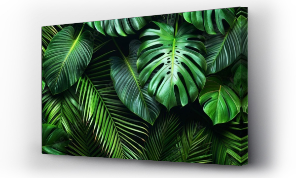 Wizualizacja Obrazu : #743611513 Green leaves background. Green tropical monstera leaves, palm leaves, coconut leaf, fern, palm leaf, banana leaf. Panoramic background. nature concept