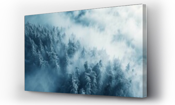 Wizualizacja Obrazu : #744605385 Aerial view of winter landscape atop alpine forest mountain top