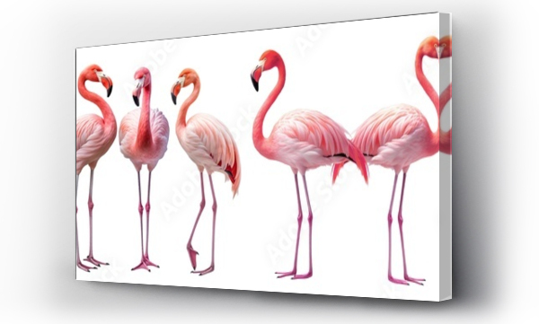 Wizualizacja Obrazu : #748697843 Set of gracefully standing elegant pink flamingos, cut out