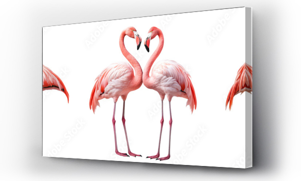 Wizualizacja Obrazu : #756677887 Collection of flamingoes isolated on transparent or white background