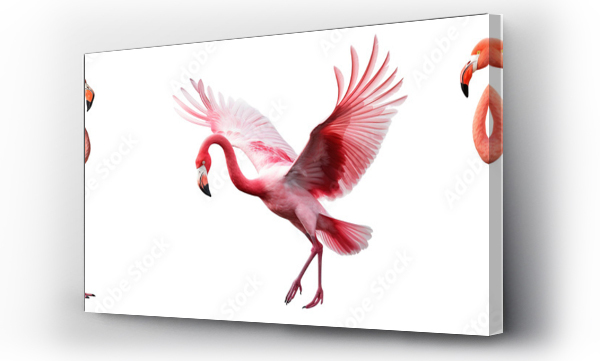 Wizualizacja Obrazu : #756677896 Collection of flamingoes isolated on transparent or white background