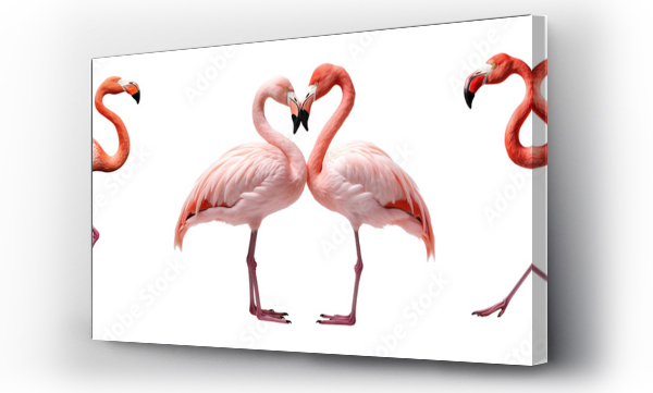Wizualizacja Obrazu : #756677954 Collection of flamingoes isolated on transparent or white background