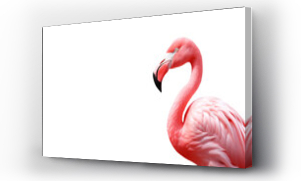 Wizualizacja Obrazu : #757362323 Pink flamingo animal cutout. Flamingo in side view on transparent background
