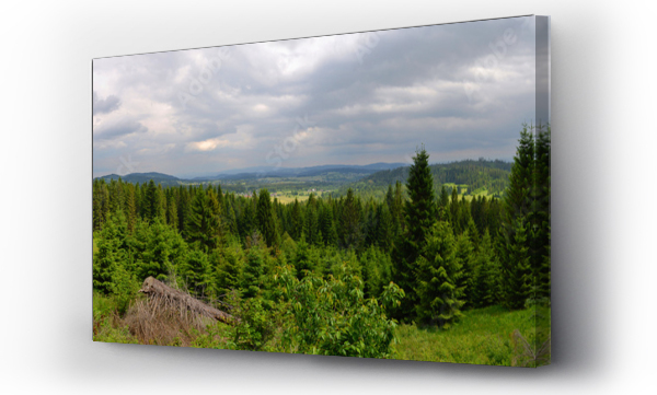 las, pejzaż, Pejzaż górski, łąka