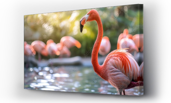 Wizualizacja Obrazu : #761411531 flamingo in natural habitat. Big pink popular bird is relaxing near water pond