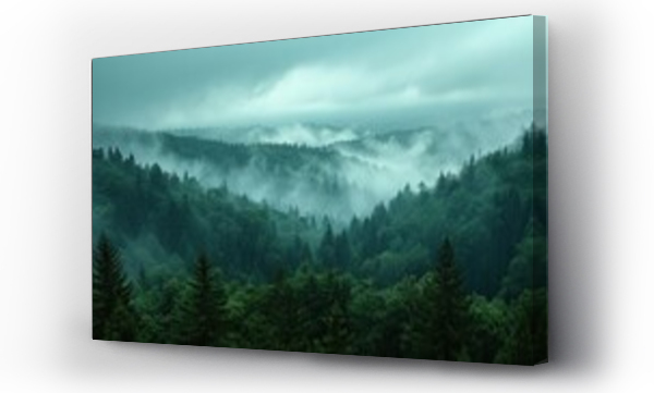 Wizualizacja Obrazu : #761546422 Amazing mystical rising fog forest trees landscape in black forest blackforest ( Schwarzwald ) Germany panorama banner