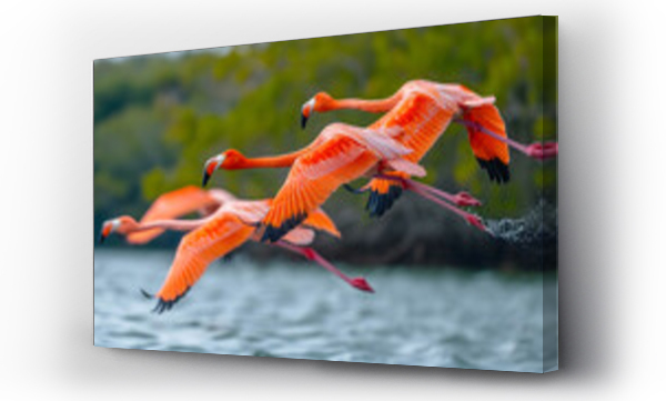 Wizualizacja Obrazu : #761730435 greater flamingo in flight