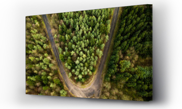 Wizualizacja Obrazu : #763261461 Aerial View of forest path, Kernen im Remstal, Germany.