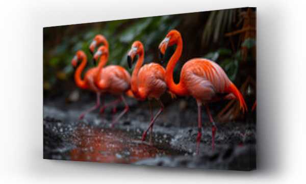 Wizualizacja Obrazu : #767653450 Migratory wild flamingoes .