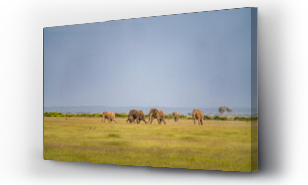 Wizualizacja Obrazu : #768527058 Family of elephants in the savanna in Amboseli National Park in Kenya