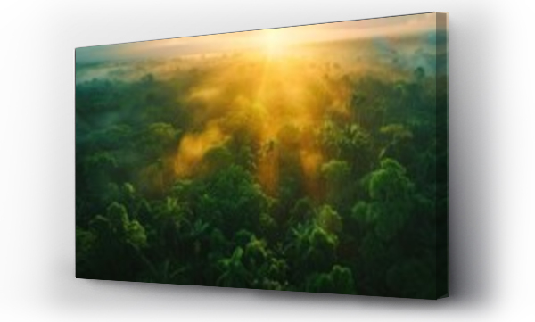 Wizualizacja Obrazu : #769452003 Aerial view of tropical forest at sunset with beautiful green Amazon forest landscape at sunset. An aerial drone exploration adventure