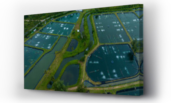Wizualizacja Obrazu : #772279040 prawn farm with aerator pump in front. Business of raising animals for export. Aquaculture business in Thailand.