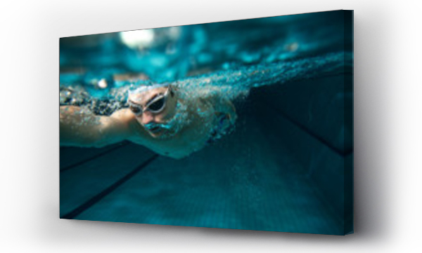 Wizualizacja Obrazu : #77446070 Męski pływak na basenie, zdjęcie podwodne.