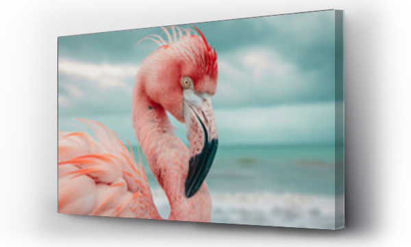Wizualizacja Obrazu : #778200967 close up of flamingo