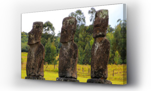 Wizualizacja Obrazu : #784999147 Details of the Moai Ahu Akivi, the seven scouts from Easter Island, Chile