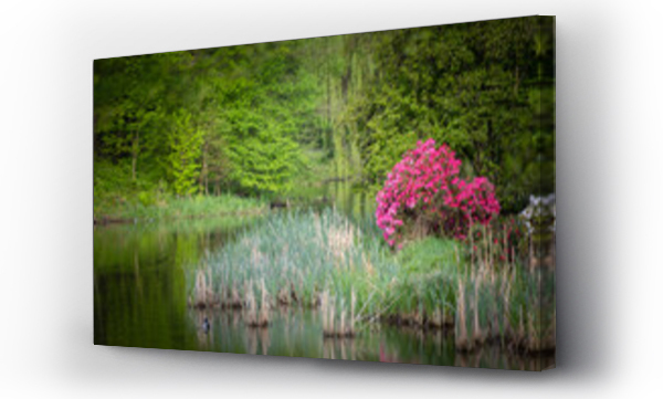 Wizualizacja Obrazu : #785491552 Krajobraz wiosenny, park, staw, aleja, zielone drzewa i li?cie