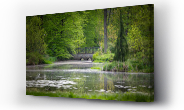 Wizualizacja Obrazu : #785494565 Krajobraz wiosenny, park, staw, aleja, zielone drzewa i li?cie
