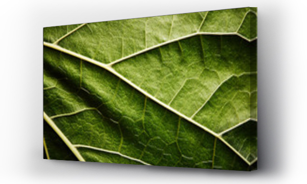 Wizualizacja Obrazu : #78702804 Green leaf