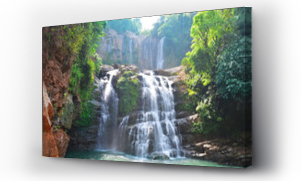 Wodospady, zwierzęta