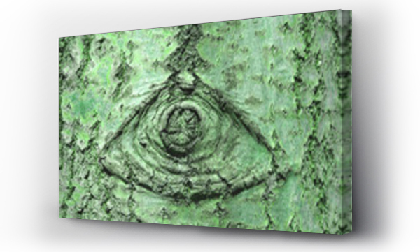 Wizualizacja Obrazu : #80216529 tekstura kora oko znak