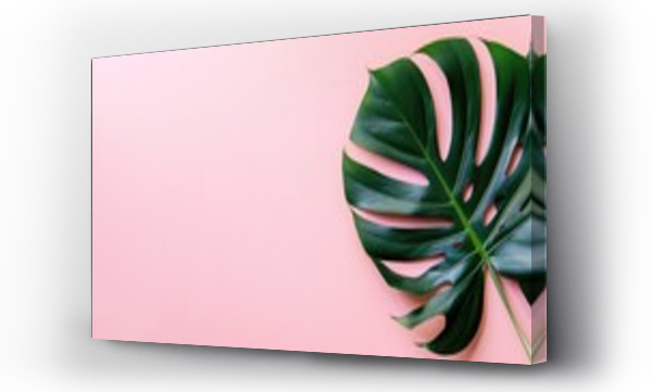 monstera