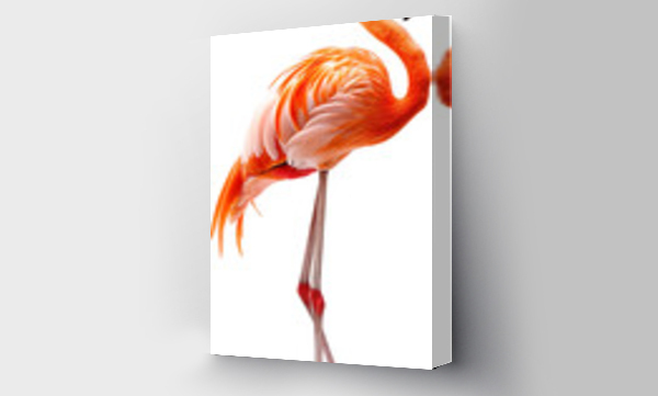 Wizualizacja Obrazu : #839573567 pink flamingo Vector Transparent Background