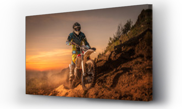 motocykl, Motocykle Cross, motor