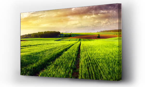 Krajobrazy, Laka, natura, Panorama, panoramiczny, rolnictwo, sceneria