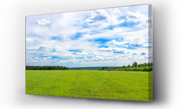 letni krajobraz panorama z polem , rolnictwo