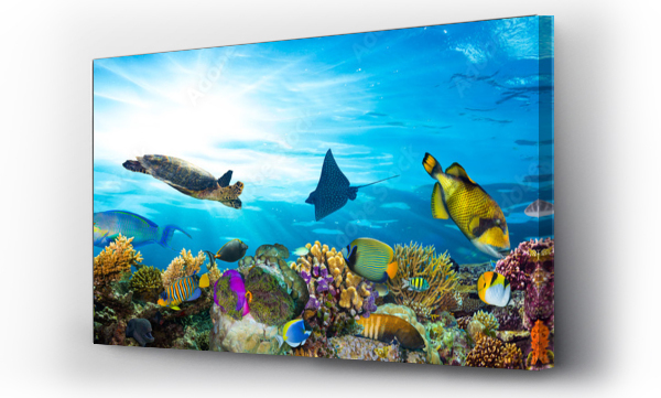 Wizualizacja Obrazu : #86722420 podwodne życie morskie rafa koralowa panorama z wieloma rybami i zwierzętami morskimi