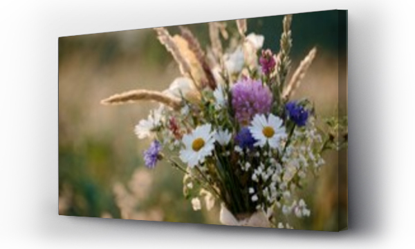 Kolorowe kwiaty, Kwiaty