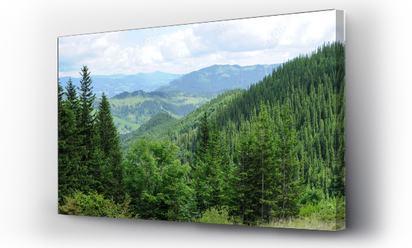 Panorama pięknych górskich lasów