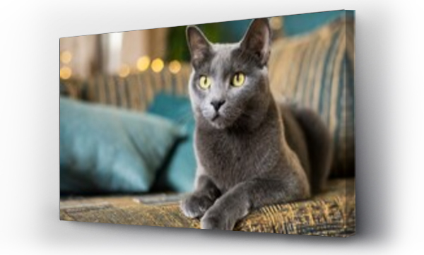 Wizualizacja Obrazu : #871213978 Kot rosyjski niebieski