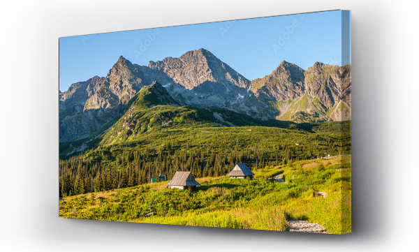 drzewa, góry, Hala gasienicowa, kościelec, Tatry, wakacje, zakopane
