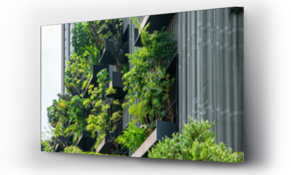 Wizualizacja Obrazu : #884450154 Building facade with green plants growth on the wall. Vertical garden in Kuala Lumpur city, Malaysia. Eco friendly urban environment. Sustainable modern and ecological architecture