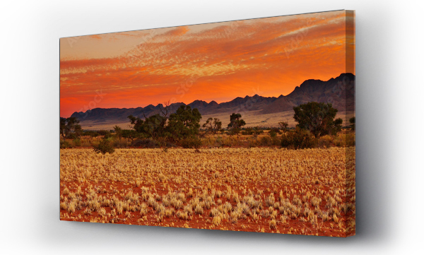 Kolorowy zachód słońca na pustyni Kalahari, Namibia
