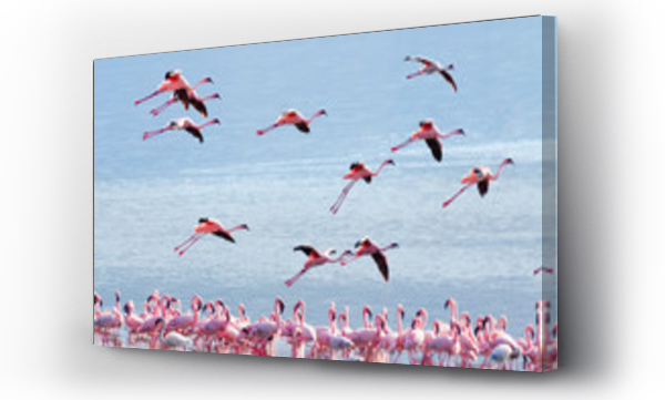 Wizualizacja Obrazu : #88981044 Flying flamingo