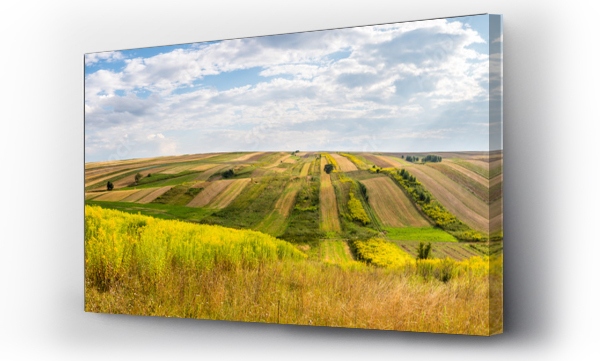 pejzaż, Pejzaż wiejski, wieś