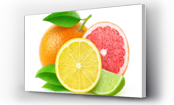 Wizualizacja Obrazu : #90227748 Fresh citrus fruits isolated on white, with clipping path