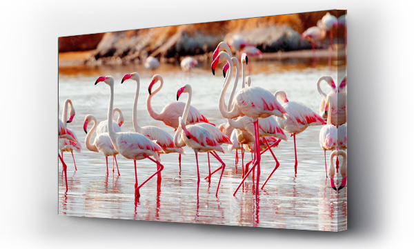 Flamingi w pobliżu jeziora Bogoria, Kenia