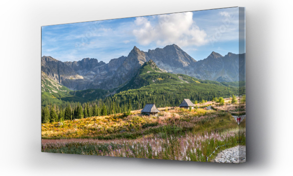 Wizualizacja Obrazu : #91488116 Hala Gasienicowa in Tatra Mountains - panorama