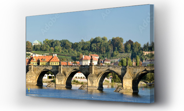 Wizualizacja Obrazu : #91952330 Charles Bridge in Prague, Czech Republic