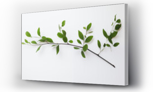 góry, Liście, zielony