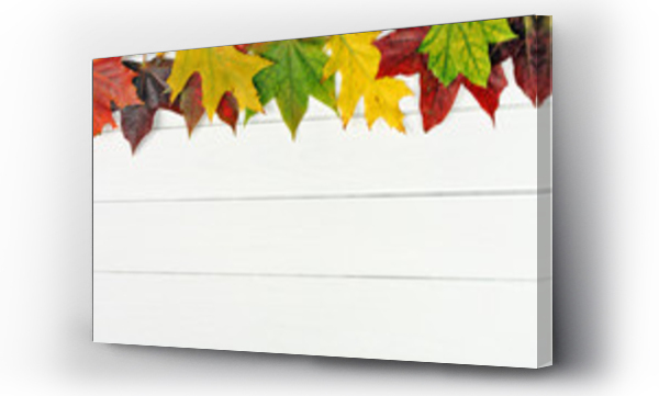 Liście, złoty kolor