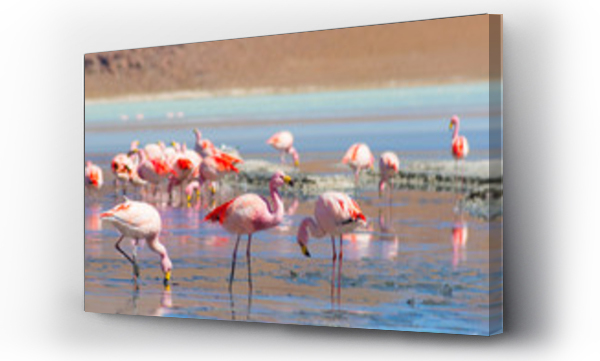 Wizualizacja Obrazu : #96976103 Pink flamingos at 
