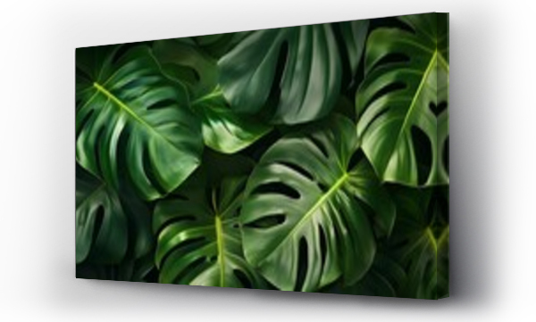 monstera