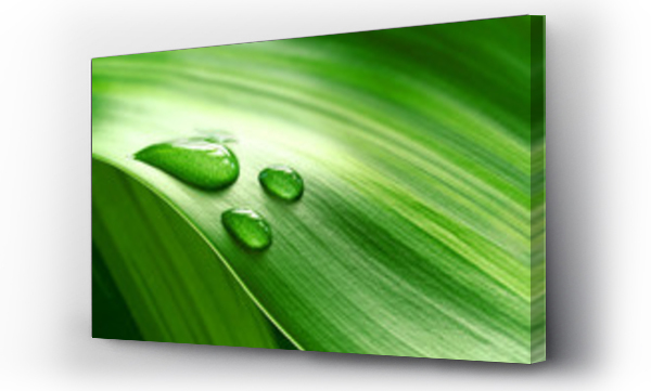 Wizualizacja Obrazu : #9939656 Close-up of green plant leaf